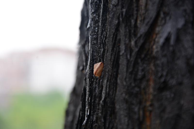 Featured image of post ToDo